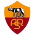 维罗纳